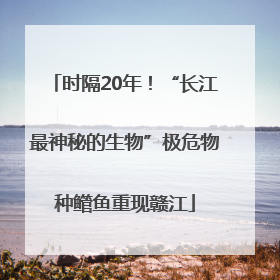 时隔20年！“长江最神秘的生物”极危物种鳤鱼重现赣江