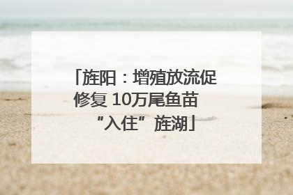 旌阳：增殖放流促修复 10万尾鱼苗“入住”旌湖