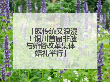 既传统又浪漫！铜川首届非遗与婚俗改革集体婚礼举行