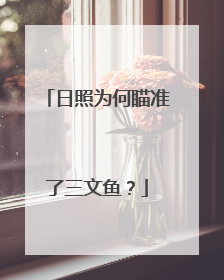 日照为何瞄准了三文鱼？