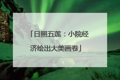 日照五莲：小院经济绘出大美画卷