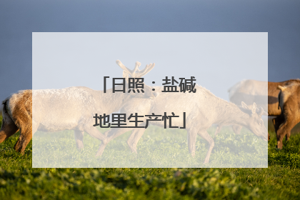 日照：盐碱地里生产忙