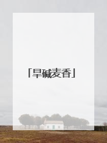 旱碱麦香