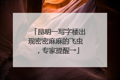 昆明一写字楼出现密密麻麻的飞虫，专家提醒→