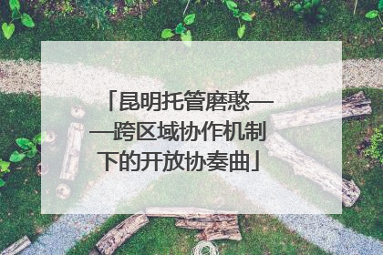 昆明托管磨憨——跨区域协作机制下的开放协奏曲