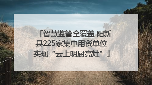 智慧监管全覆盖 阳新县225家集中用餐单位实现“云上明厨亮灶”