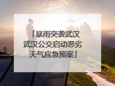 暴雨突袭武汉 武汉公交启动恶劣天气应急预案