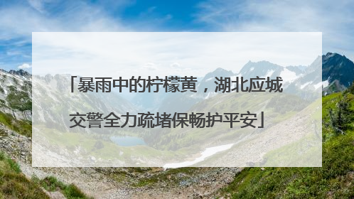 暴雨中的柠檬黄，湖北应城交警全力疏堵保畅护平安