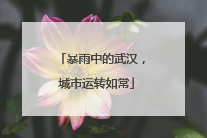 暴雨中的武汉，城市运转如常