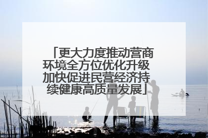 更大力度推动营商环境全方位优化升级加快促进民营经济持续健康高质量发展