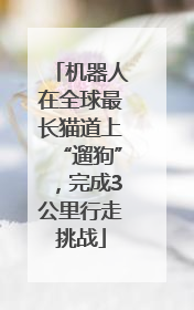 机器人在全球最长猫道上“遛狗”，完成3公里行走挑战
