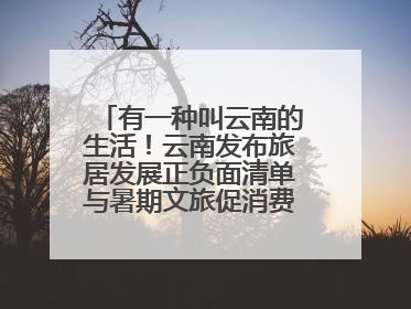 有一种叫云南的生活！云南发布旅居发展正负面清单与暑期文旅促消费“组合拳”