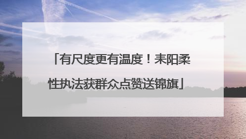 有尺度更有温度！耒阳柔性执法获群众点赞送锦旗