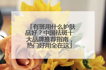 有斑用什么护肤品好？中国祛斑十大品牌推荐指南，热门好用全在这