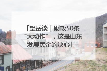望岳谈｜财政50条“大动作”，这是山东发展民企的决心