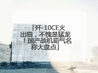 歼-10CE火出圈，不愧是猛龙！国产战机霸气名称大盘点