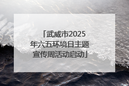 武威市2025年六五环境日主题宣传周活动启动