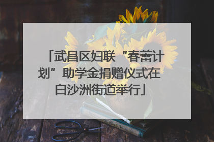 武昌区妇联“春蕾计划”助学金捐赠仪式在白沙洲街道举行