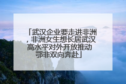 武汉企业要走进非洲，非洲女生想长居武汉 高水平对外开放推动鄂非双向奔赴