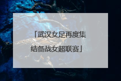 武汉女足再度集结备战女超联赛