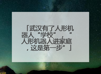 武汉有了人形机器人“学校”，“人形机器人进家庭，这是第一步”