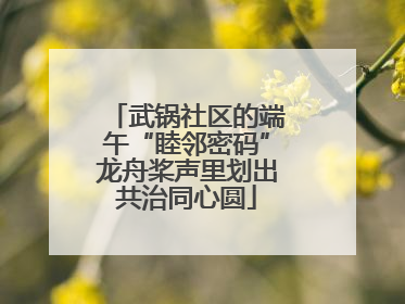 武锅社区的端午“睦邻密码”龙舟桨声里划出共治同心圆