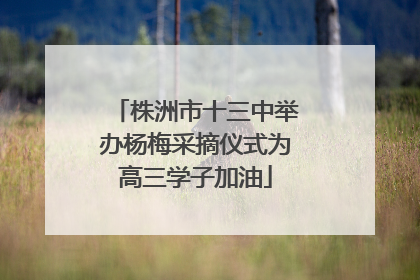 株洲市十三中举办杨梅采摘仪式为高三学子加油