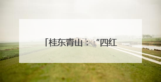 桂东青山：“四红”引领 业兴民富