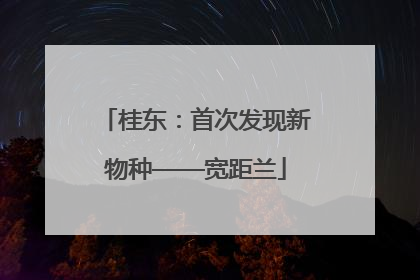 桂东：首次发现新物种——宽距兰