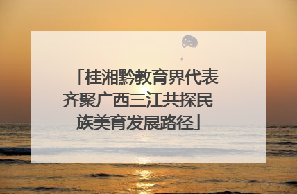 桂湘黔教育界代表齐聚广西三江共探民族美育发展路径