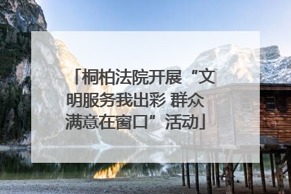 桐柏法院开展“文明服务我出彩 群众满意在窗口”活动