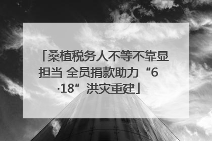 桑植税务人不等不靠显担当 全员捐款助力“6·18”洪灾重建