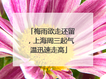 梅雨欲走还留，上海周三起气温迅速走高