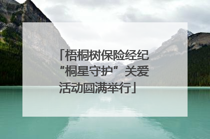 梧桐树保险经纪“桐星守护”关爱活动圆满举行