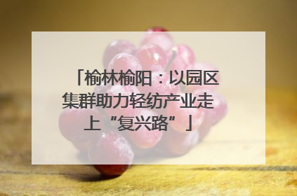 榆林榆阳：以园区集群助力轻纺产业走上“复兴路”