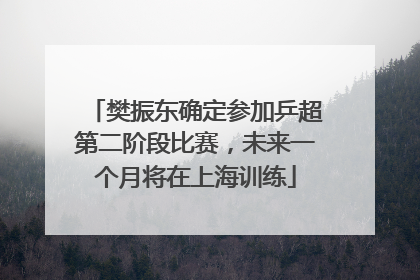 樊振东确定参加乒超第二阶段比赛，未来一个月将在上海训练
