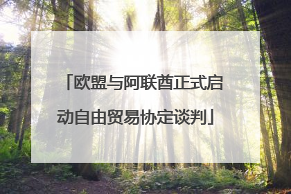 欧盟与阿联酋正式启动自由贸易协定谈判