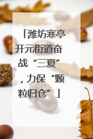 潍坊寒亭开元街道奋战“三夏”，力保“颗粒归仓”