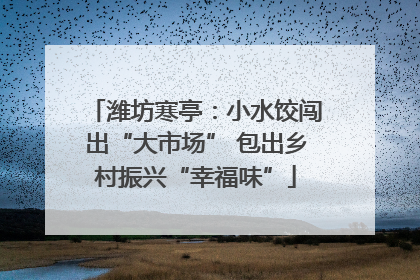 潍坊寒亭：小水饺闯出“大市场” 包出乡村振兴“幸福味”