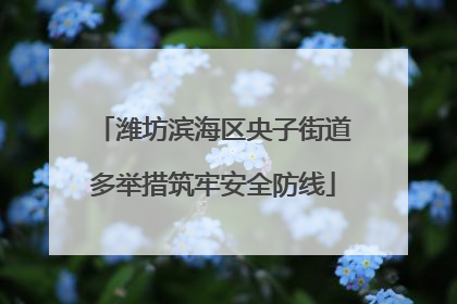 潍坊滨海区央子街道多举措筑牢安全防线