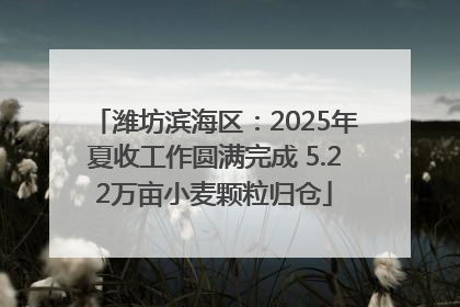 潍坊滨海区：2025年夏收工作圆满完成 5.22万亩小麦颗粒归仓