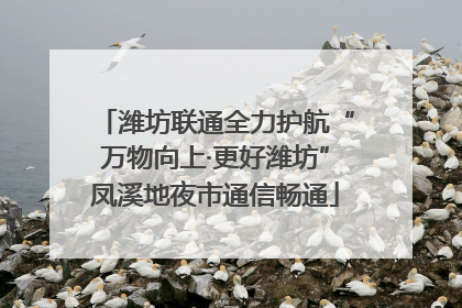 潍坊联通全力护航“万物向上·更好潍坊”凤溪地夜市通信畅通