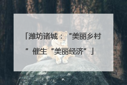 潍坊诸城：“美丽乡村”催生“美丽经济”