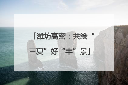 潍坊高密：共绘“三夏”好“丰”景