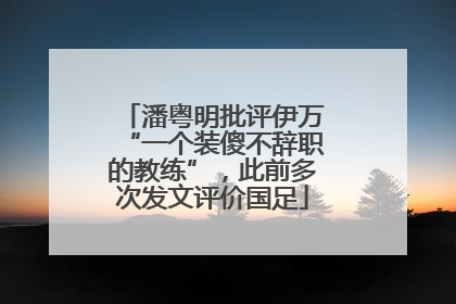 潘粤明批评伊万“一个装傻不辞职的教练”，此前多次发文评价国足