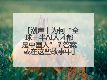 潮声丨为何“全球一半AI人才都是中国人”？答案或在这些故事中