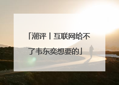 潮评丨互联网给不了韦东奕想要的