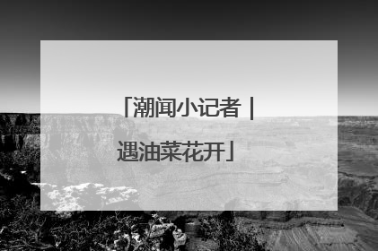 潮闻小记者｜遇油菜花开