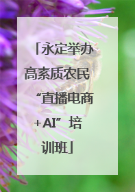 永定举办高素质农民“直播电商+AI”培训班