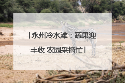 永州冷水滩：蔬果迎丰收 农园采摘忙